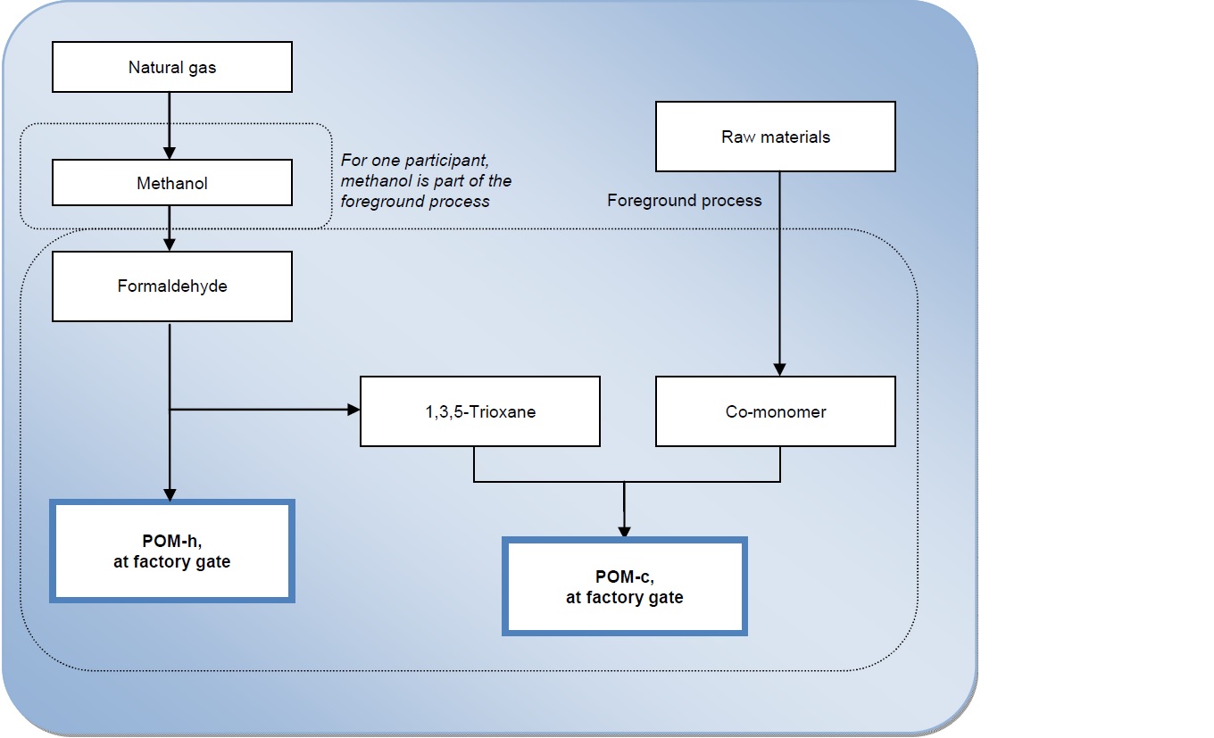 POM Process Image